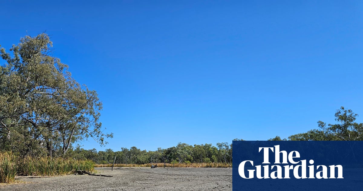 ‘Incomprehensible’: birds flee and hundreds of turtles left to die after government cuts water to NSW wetlands | Environment