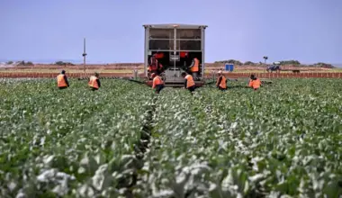 Australia exports about 70 per cent of its agricultural products, mostly to Asia.