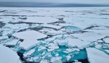 ‘Very alarming’ winter sees Arctic sea ice hit record-low for second year running