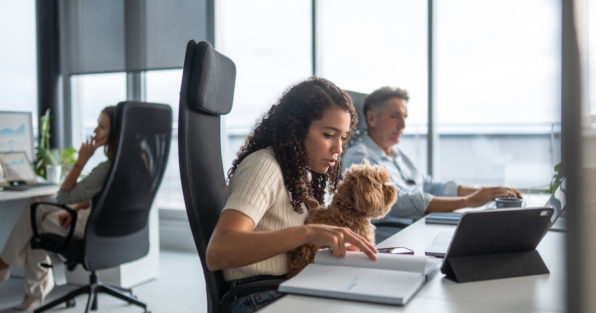The weird world of work perks – The Irish Times