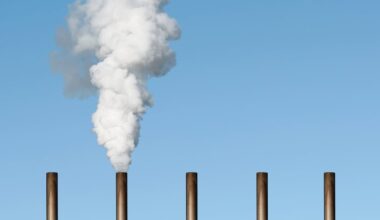 Environmental group loses challenge to permission for power plant in north Kerry – The Irish Times