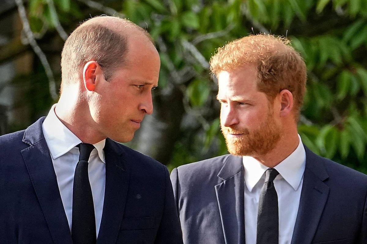Prince William and Prince Harry 