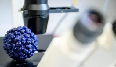 A drug already in trials may finally stop hepatitis E