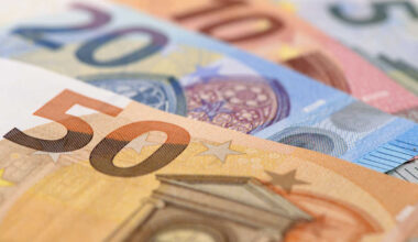 Euro area government deficit at 2.9% and EU at 3.1% of GDP - Euro indicators