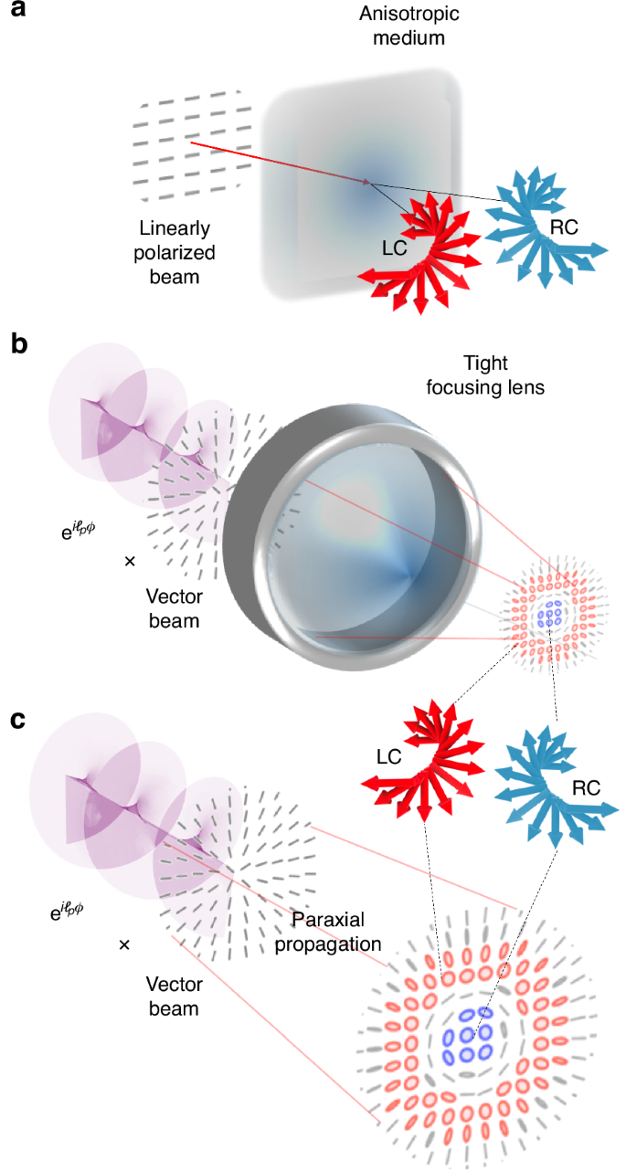 Fig. 1: Concept of spin-separation in vectorial fields.