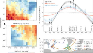 Atmospheric oxygen constraints on Southern Ocean productivity and drivers of carbon uptake