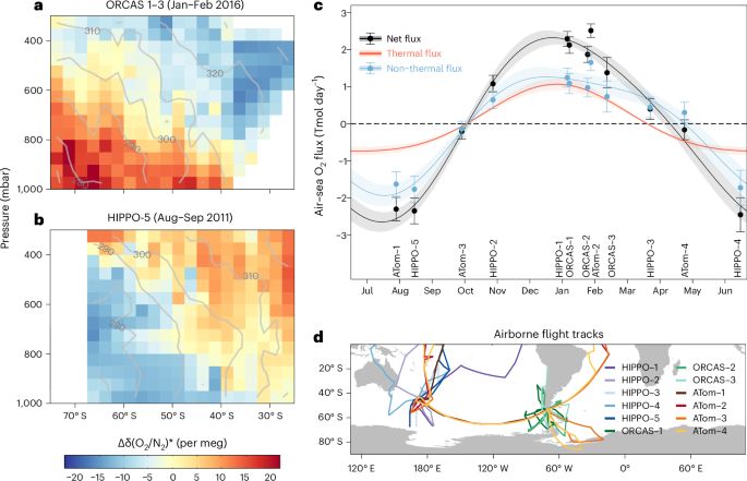 Atmospheric oxygen constraints on Southern Ocean productivity and drivers of carbon uptake