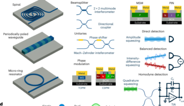 Integrated photonics for continuous-variable quantum optics