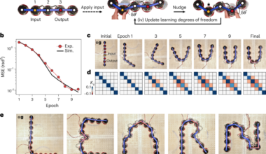 Metamaterials that learn to change shape