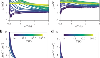 Planckian scattering and parallel conduction channels in an iron chalcogenide superconductor