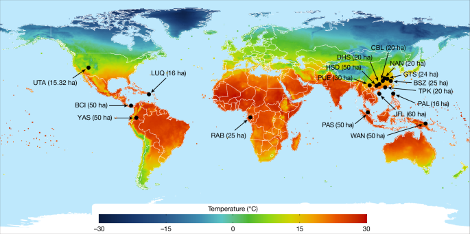The importance of competition and facilitation for global tree diversity