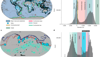 Identifying the topographic signature of early Martian oceans