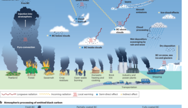 Atmospheric black carbon in the climate system