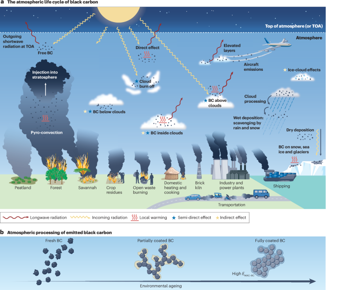 Atmospheric black carbon in the climate system