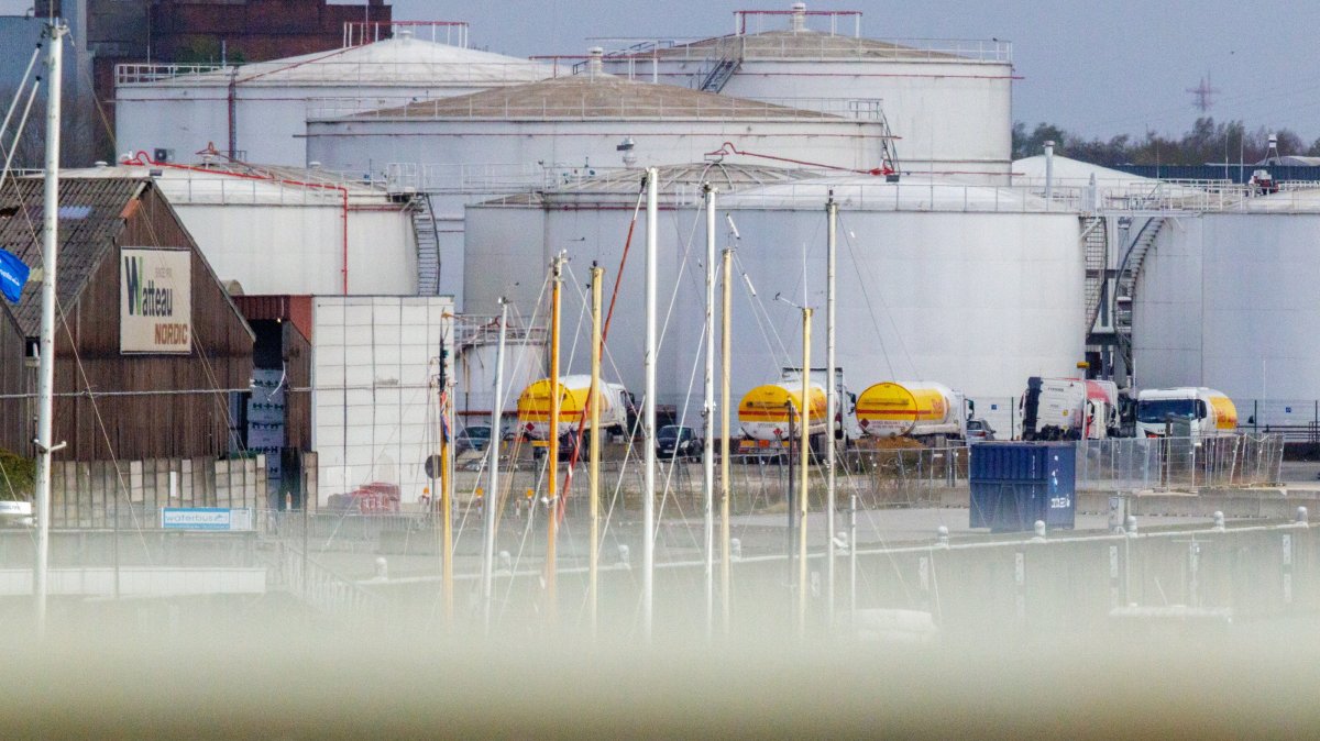 From tariffs to energy shock: How global economy is holding up