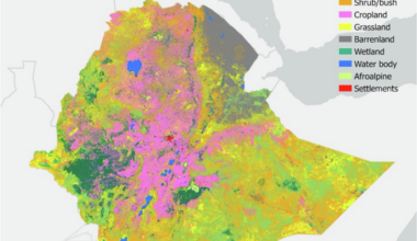 Carbon market development in Africa: Ethiopia as a model