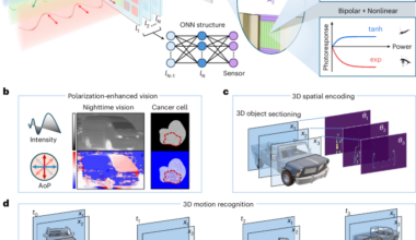 Self-reconfigurable polarization perception in dual-anisotropy heterostructures for high-dimensional in-sensor computing