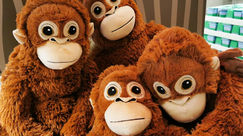 IKEA "Djungelskog" plush orangutans, the same type that Punch the Monkey cuddles with at the Ichikawa ZooPhoto by NurPhoto on Getty Images