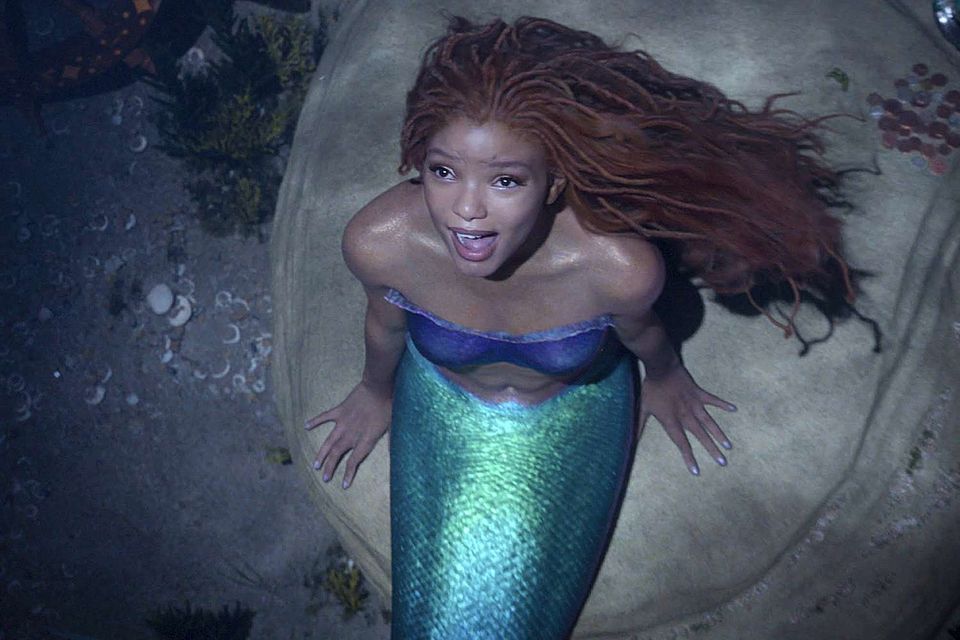 Halle Bailey starred in Disney's live-action remake of 'The Little Mermaid'