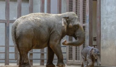 Yahoo lifestyle home