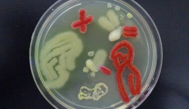 Microbiome Foundries: A new start-up venture