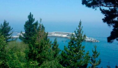 Marine plant generates energy without water