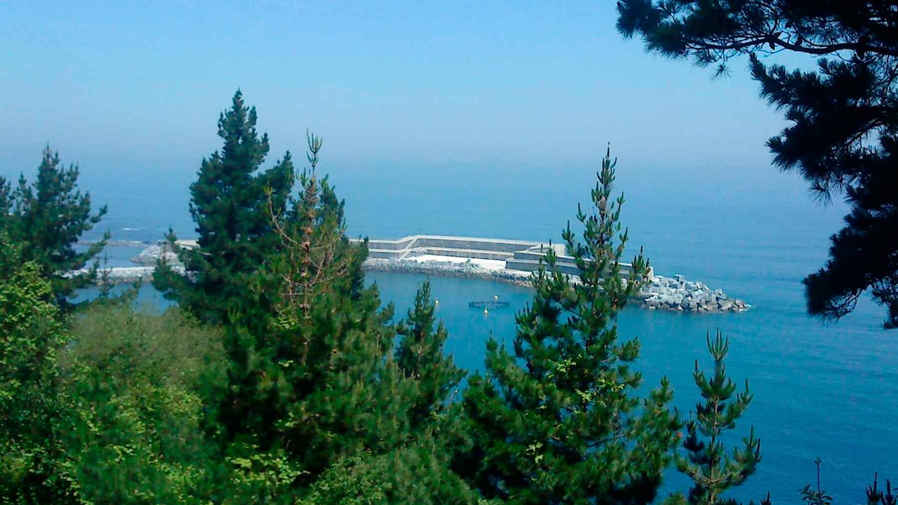 Marine plant generates energy without water