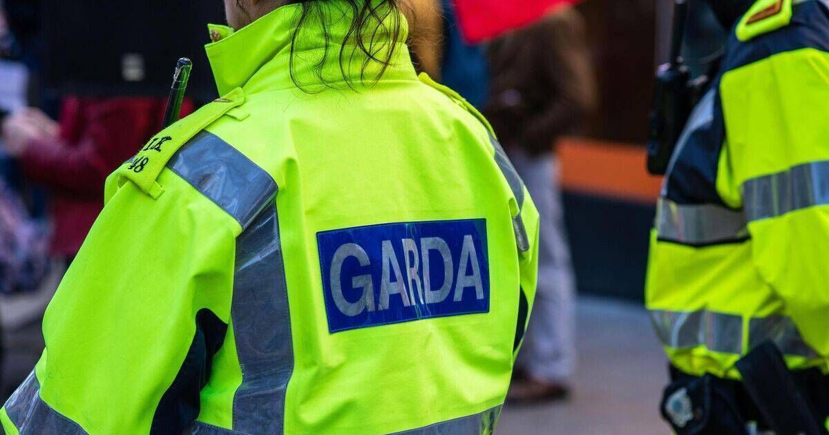 Man smashes windows of Macroom home before fleeing scene