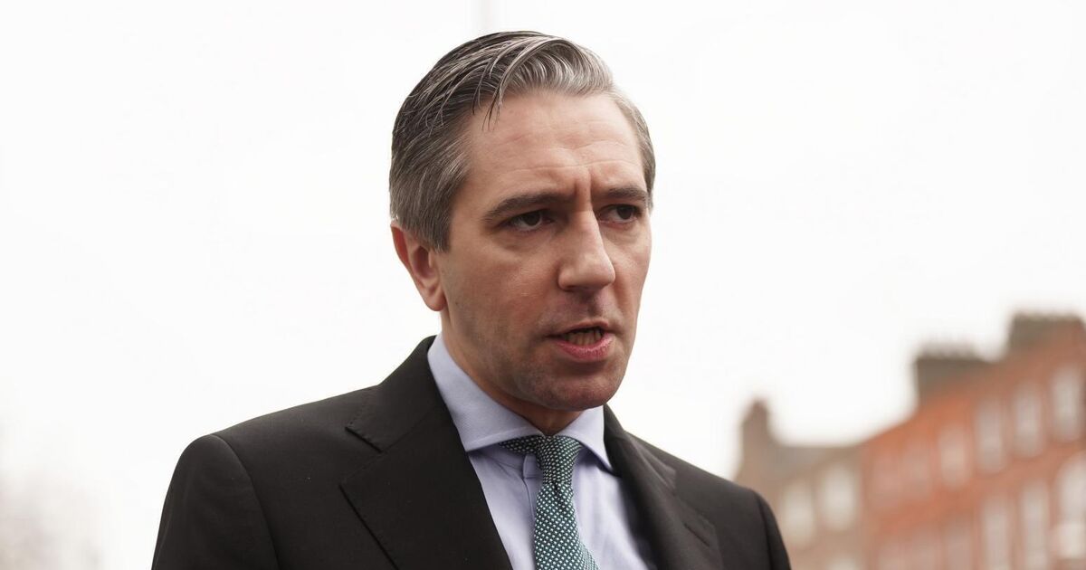 Wicklow GAA joke 'in extraordinarily bad taste, tone deaf and very insulting,' says Tánaiste