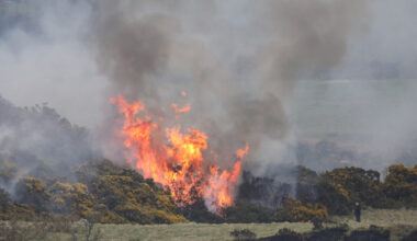Significant increase in number of wildfires across Ireland last year