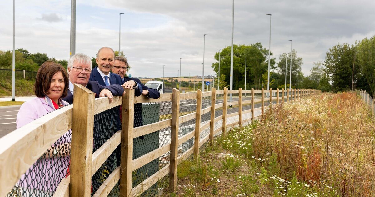 Plans lodged for 452 homes in Cork town