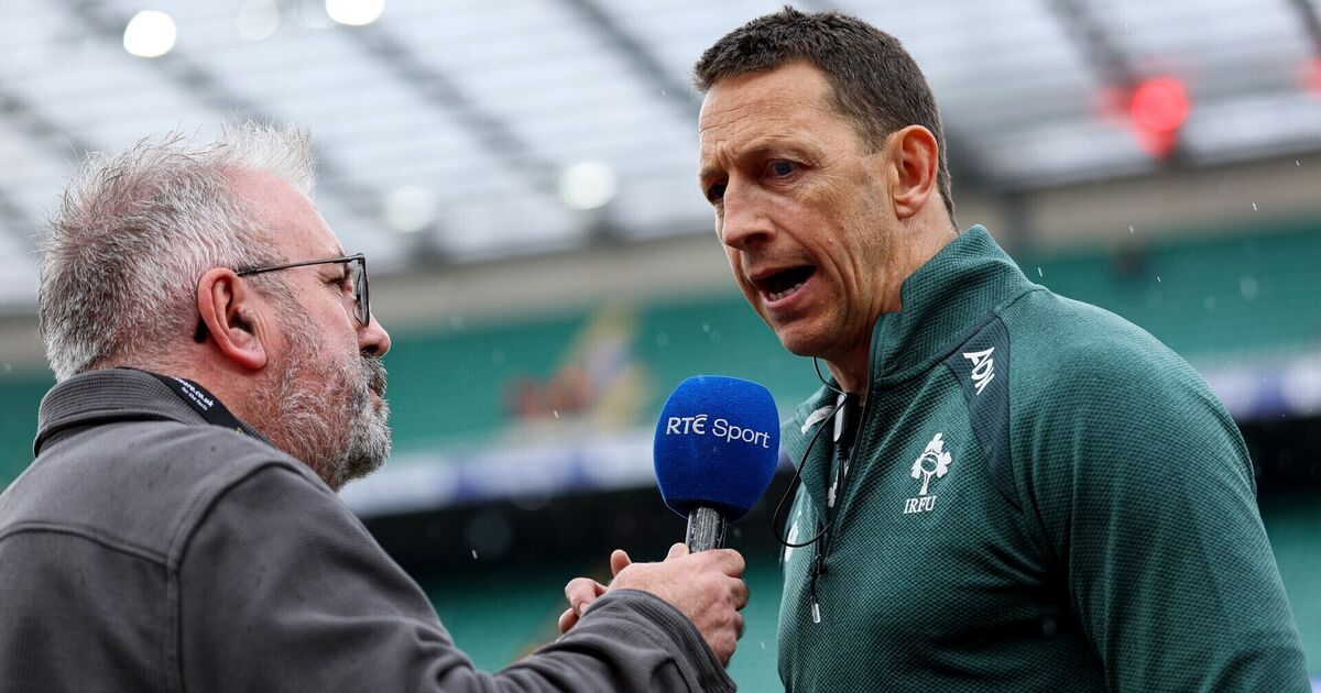 'I don't like losing' but Ireland will take encouragement from Twickenham display, says Bemand