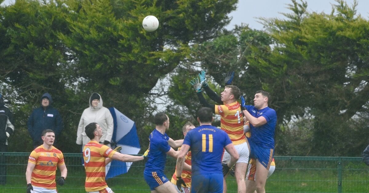 Newcestown battle back to earn draw with St Finbarr's
