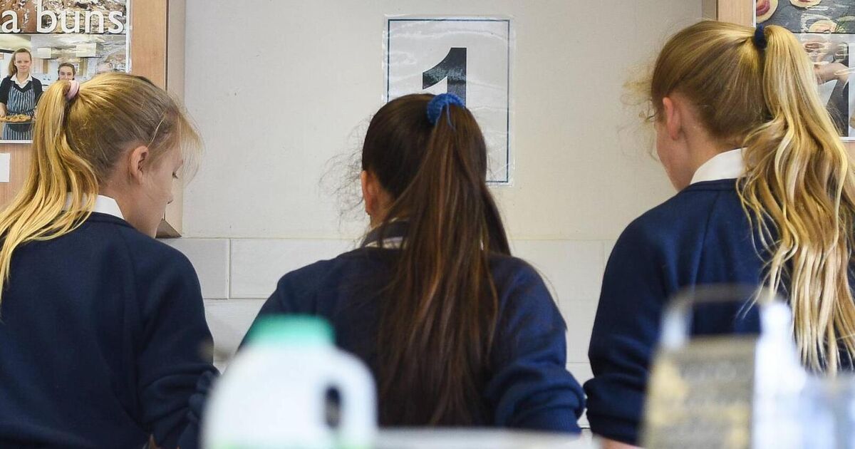 Leaving and Junior Cert practicals deferred due to fuel protests