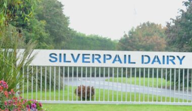 North Cork ice-cream maker’s Spanish multi-million deal approved by regulator
