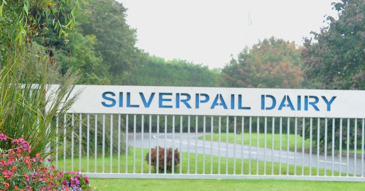 North Cork ice-cream maker’s Spanish multi-million deal approved by regulator