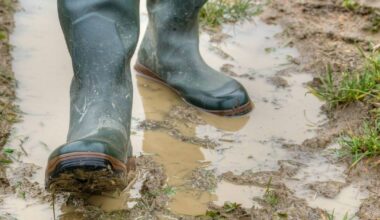 Animal Health Ireland launches biosecurity week