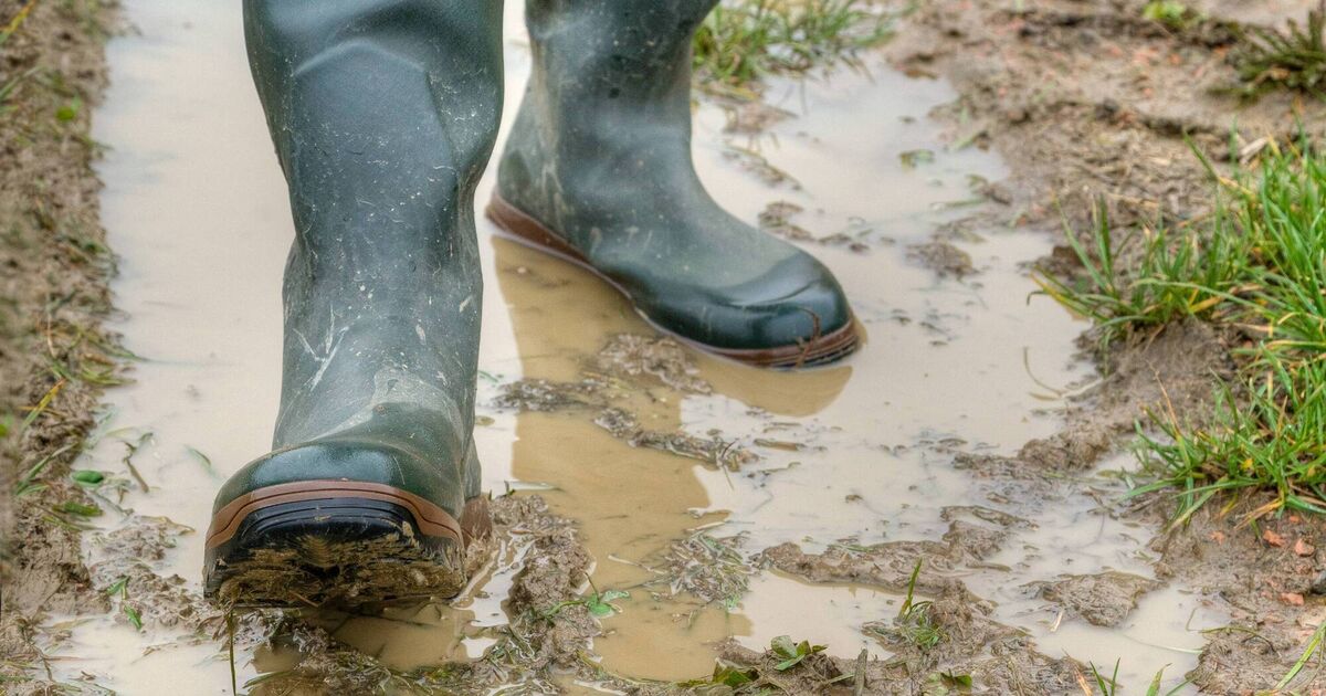 Animal Health Ireland launches biosecurity week