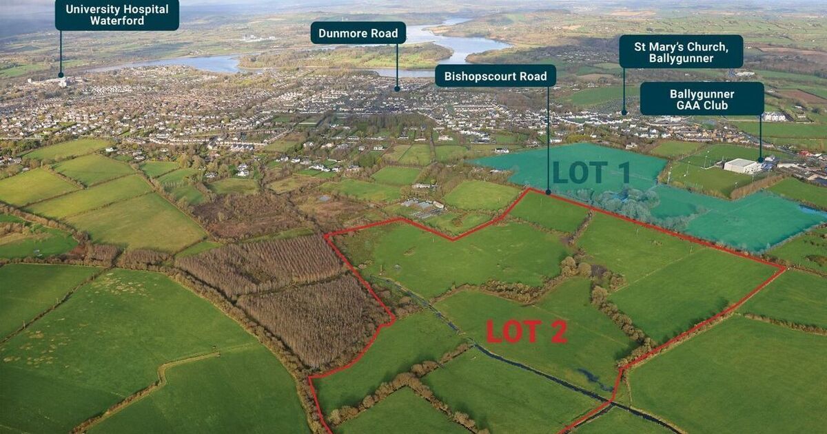 78-acre Waterford holding achieves record €3.1m at auction