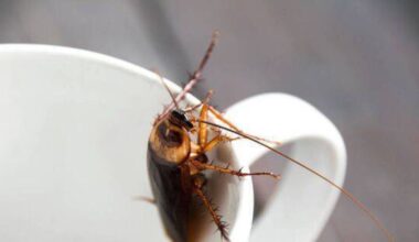 14 enforcement orders on food businesses in March