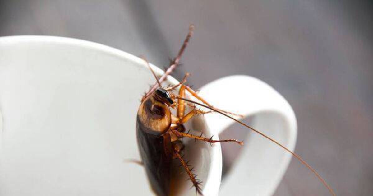 14 enforcement orders on food businesses in March