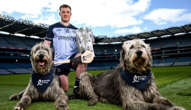 Dublin star Cian O'Sullivan tired of theory he gets his hurling from Cork