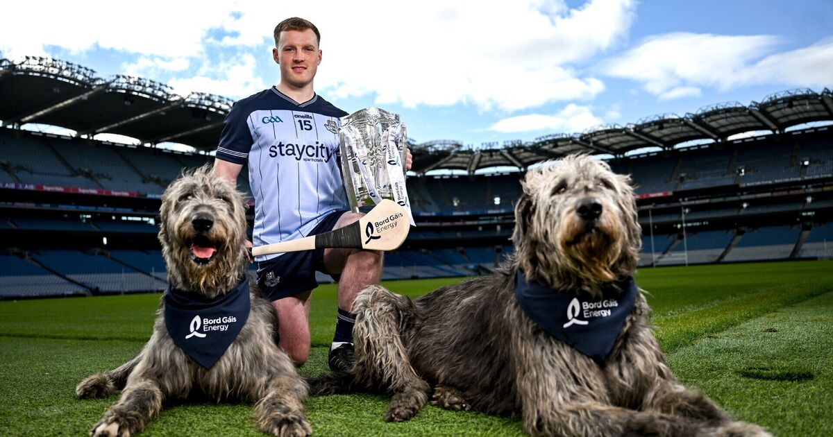 Dublin star Cian O'Sullivan tired of theory he gets his hurling from Cork