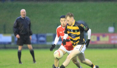 Avondhu come good to see off Beara