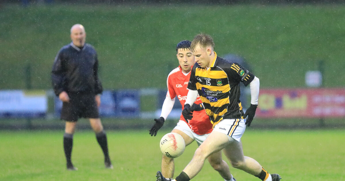 Avondhu come good to see off Beara