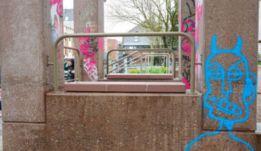 Council 'very disappointed' after graffiti scrawled on structures at Cork's Bishop Lucey Park