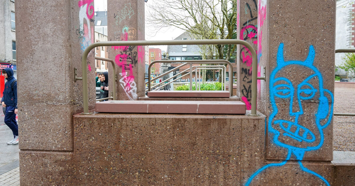 Council 'very disappointed' after graffiti scrawled on structures at Cork's Bishop Lucey Park