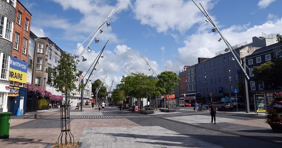 Life of former underage player for Cork City and Ireland spiralled after brother's death, court told