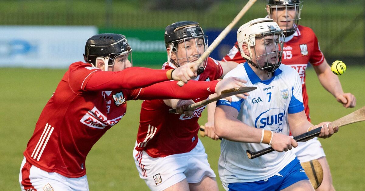 Cork's late surge secures win against Waterford in Munster U20HC