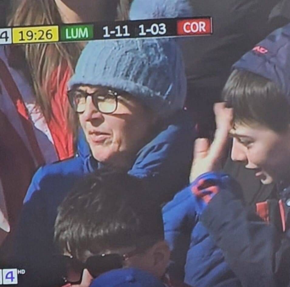 A shot of the crowd on TG4 during the Allianz League final.